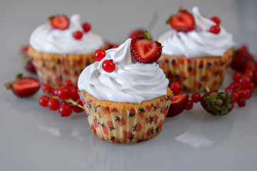 Gourmet cupcakes for holiday