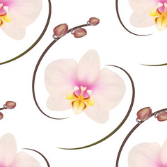 Realistic light pink orchid background, pattern.