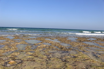 oman ocean