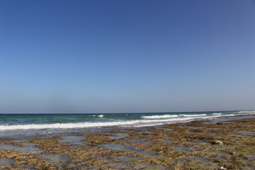 oman ocean