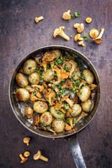 Fresh fried chanterelle with potatoes as top view in a casserole