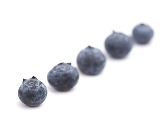Fresh Organic Blueberries Isolated on a White Background