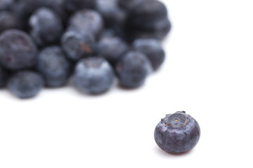 Fresh Organic Blueberries Isolated on a White Background