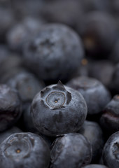 Fresh Organic Blueberries Isolated on a White Background
