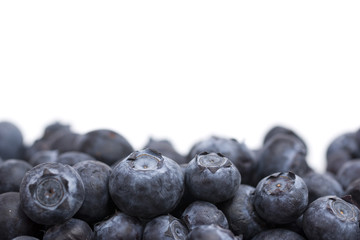 Fresh Organic Blueberries Isolated on a White Background