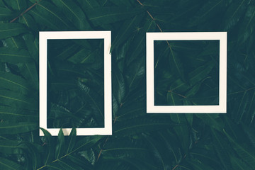 Creative layout made of green leaves with two white frames. Top view, flat lay.