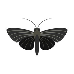Butterfly with small wings icon, flat style