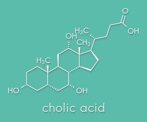 Fototapeta premium Cholic acid (cholate) molecule. Main bile acid component. Skeletal formula.