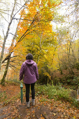 Fototapeta premium trekking and hiking, woman in autumn forest
