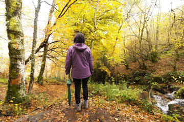 trekking and hiking, woman in autumn forest