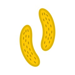 Epithelial cell icon, flat style