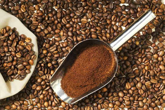  coffee beans  grains