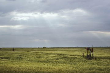 Processed with VSCOcam with m3 preset