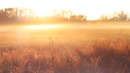 Nature Photography of an Sunrise over a Farmers Field with Heavy Mist and Dew