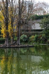 Fototapeta na wymiar Leafy garden with lake in Lisbon