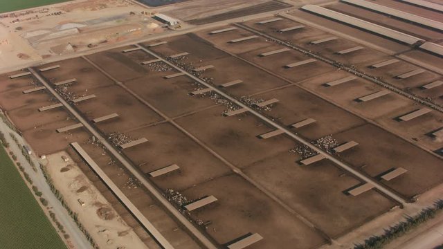 Aerial shot of cattle yards in Northern California