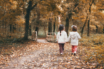Fototapeta premium The two adorable little sisters wander through the forest