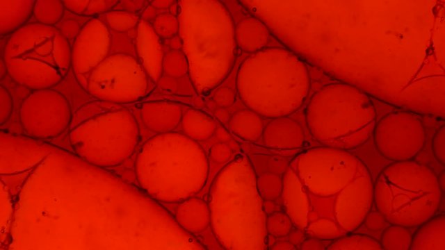 Abstract patterns of ink on water 