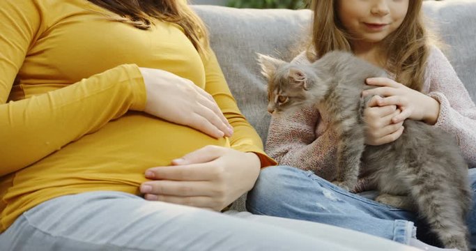 Close up of the woman's hand caressing her big pregnant belly while sittting on the couch and her small daughter holding a cat near belly. Inside