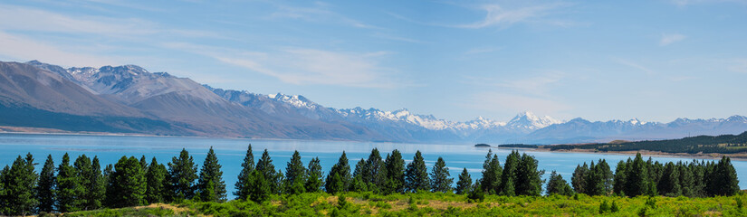 Panorama view of Beautiful scene of Mt Cook in summer beside the lake with green tree and blue sky. New Zealand