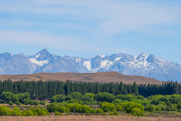 Beautiful scene of Mt Cook in summer beside the lake with blue sky. New Zealand