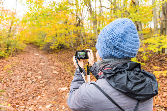 Young woman taking pictures with camera on hiking trail through colorful orange foliage fall autumn forest with many fallen dry leaves on path in West Virginia