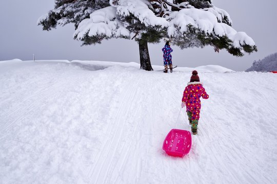 雪山でそり遊びをする子供たち
