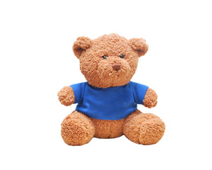 Brown teddy bear wear blue shirt isolated with white background