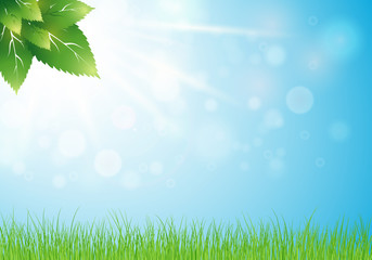 Fototapeta premium Light spring background with bokeh and young nature. Vector. Eps 10.