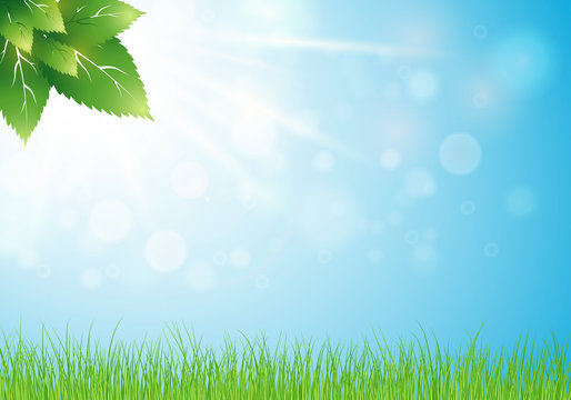 Light spring background with bokeh and young nature. Vector. Eps 10.