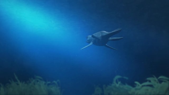Simolestes - an extinct species of plesiosaur swims in late Jurassic ocean - Rear View
