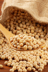 Soy beans  on a wood spoon  