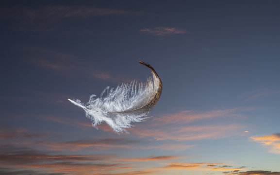 Feather floating in sky at sunset