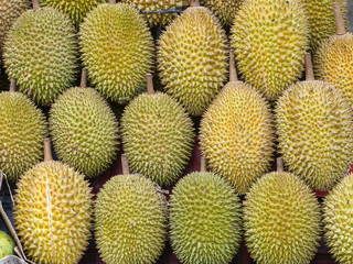 Ripe durian fruit on the local market in Island Bali, Ubud, Indonesia
