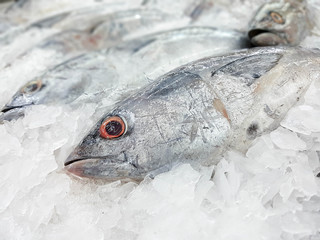 Fresh fish on ice in the market