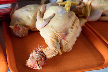 chicken exposed in market