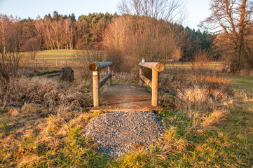 Beautiful view of idyllic landscape with scenic hiking trail in the Alps with fresh green mountain pastures and snow-capped mountain tops in the background in summer, Berchtesgadener Land, Bavaria