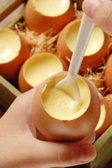 Spoonful of egg pudding 