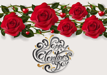 Valentine's day greeting card templates with realistic of beautiful red rose on background color. Vector Eps.10