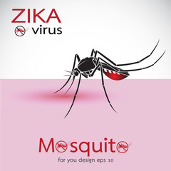 Mosquito Sucking Blood On Skin. Spread of zika and dengue virus. Stop Dengue fever with Mosquito. Zika Virus Outbreak. Easy editable layered vector illustration.