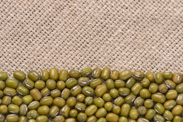Many green beans. Neutral background. Cooking healthy food
