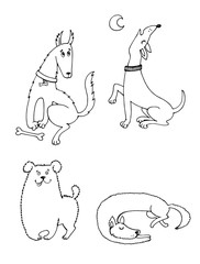 graphic illustration of different breeds of dogs