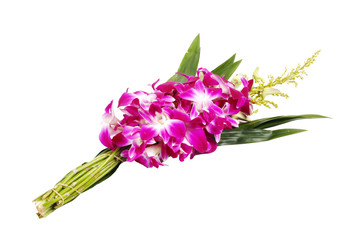 Violet orchid with pandan for Buddhist begging isolated on white background..