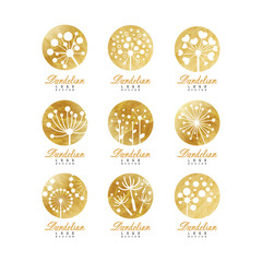 Dandelion logo template set, beautiful nature badge for your own design vector Illustrations