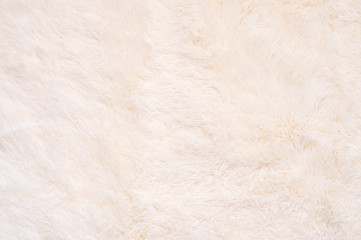 Shaggy fur texture - 187841321