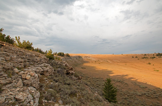 「Tillett」の写真素材 153件の無料イラスト画像 Adobe Stock