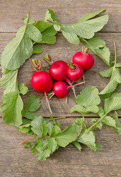 Fresh red radishes in a wreath of green foliage on a wooden surface, vertical