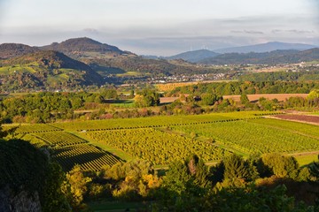 Baden-Württemberg - Schwarzwald bei Staufen im Breisgau