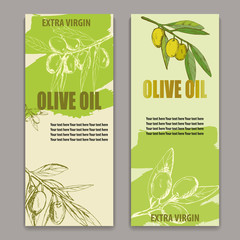 label olive oil, vector illustration banner, cover, broshure, hand-drawn branch olives