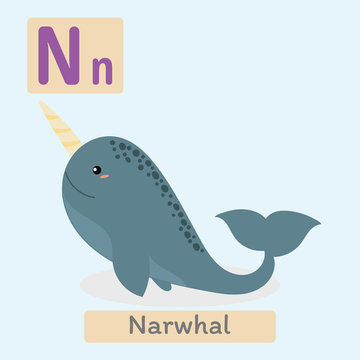 Cute animal alphabet. N letter. Cute Narwhal.